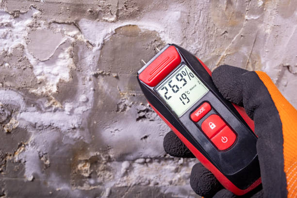 Best Professional Mold Removal  in Sutton, NE